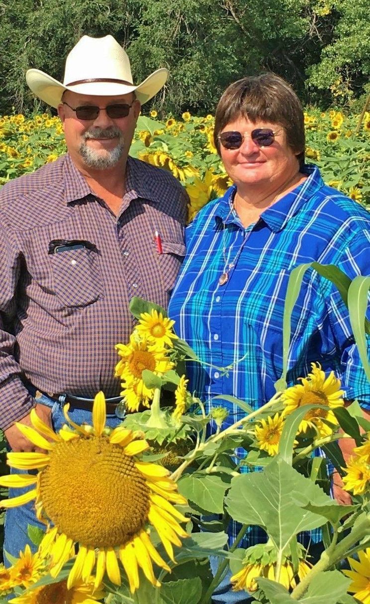 Jimmy and Ginger Emmons in sunflower field